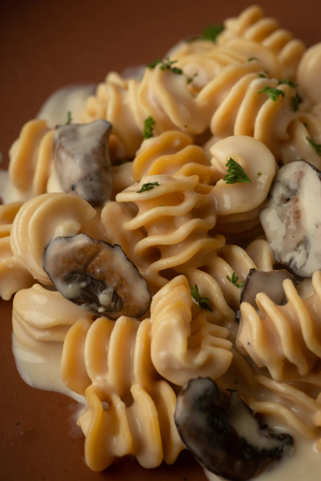 Lupin Radiatori Pasta (7 oz)