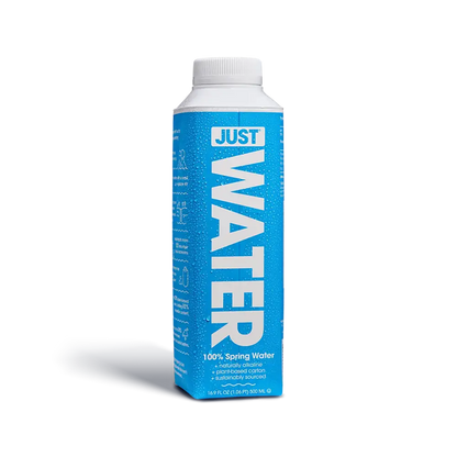 Just Water - Spring Water (16.9 fl oz)